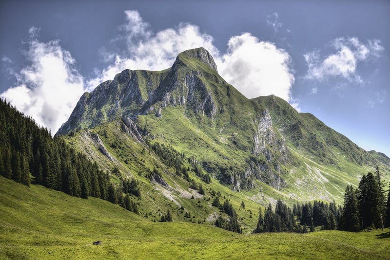 Whitepod Eco-Luxury Hotel - Swiss Alps
